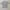 Adidas Sportswear Jersey Pria gray photo 8