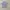 Adidas Sportswear Jersey Pria gray photo 1