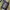 Vintage Fur coat Pria navy photo 8