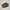 Nike Casual Sneakers Pria brown photo 3