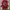Streetwear Y2K Leather jacket Pria red cream photo 2