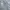 Adidas Y2K Casual Windbreaker Pria gray photo 5