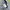 Adidas Y2K Casual Windbreaker Pria gray photo 6