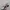 Salomon Streetwear Pria black gray photo 1