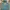 The North Face Casual Windbreaker Pria blue photo 1