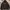 The North Face Gorpcore Puffer jacket Pria black photo 4