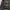 The North Face Gorpcore Puffer jacket Pria black photo 6
