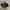 Prada Luxury Loafer Wanita black photo 1