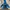 Millet Gorpcore Windbreaker Pria blue photo 6