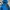 Millet Gorpcore Windbreaker Pria blue photo 2