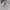 Under Armour Sportswear Polo shirt Pria white photo 7