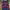 GAP Y2K Casual Sweatshirt Pria multicolor photo 1