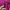The North Face Gorpcore Sportswear Track jacket Wanita purple pink photo 6