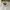 Casual Casual shirt Pria white photo 1