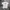 Tommy Hilfiger Streetwear Luxury T-shirt Pria White
