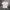 Streetwear Y2K T-shirt Pria white photo 1