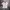 Jerzees Streetwear Y2K T-shirt Pria white photo 1
