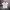 Jerzees Streetwear Y2K T-shirt Pria White