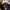 Barbour Casual Bomber jacket Pria navy photo 2