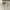Fred Perry Casual Casual shirt Pria white photo 1