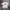 Streetwear T-shirt Pria White