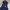 niko and ... Casual Pea coat Pria navy photo 3