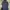 Gorpcore Track jacket Pria navy photo 1