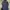 Gorpcore Track Jacket Pria Navy