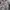 Streetwear Skater Hoody Pria multicolor black photo 3