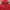 Champion Streetwear Casual Hoody Pria red photo 3