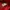 Champion Streetwear Casual Hoody Pria red photo 6