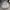 The North Face Sportswear Track jacket Wanita white photo 2
