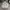 The North Face Sportswear Track jacket Wanita white photo 1