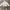ZARA Casual Crop top Wanita white gray photo 1