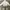 ZARA Casual Crop top Wanita white gray photo 5