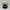 Jeep Vintage Hat Pria tan photo 4
