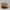 Jeep Vintage Hat Pria tan photo 3