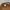 Jeep Vintage Hat Pria tan photo 7