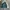 Nautica Windbreaker Pria Green Red
