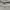 Champion Casual Sweatshirt Pria gray photo 7