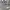 Champion Casual Sweatshirt Pria gray photo 2
