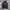 Adidas Sportswear Track jacket Pria black photo 1