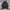 Adidas Sportswear Track Jacket Pria Black