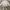 Casual Sweatshirt Pria gray yellow photo 4