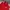 Adidas Sportswear Track jacket Pria red photo 2