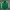 Adidas Sportswear Track jacket Pria green photo 1