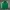 Adidas Sportswear Track Jacket Pria Green
