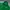 Adidas Sportswear Track jacket Pria green photo 2