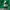 Adidas Sportswear Track jacket Pria green photo 4