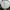 Keds Streetwear Sportswear Sneakers Wanita white photo 2